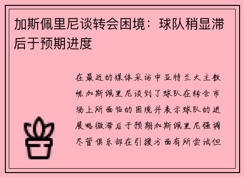 加斯佩里尼谈转会困境：球队稍显滞后于预期进度